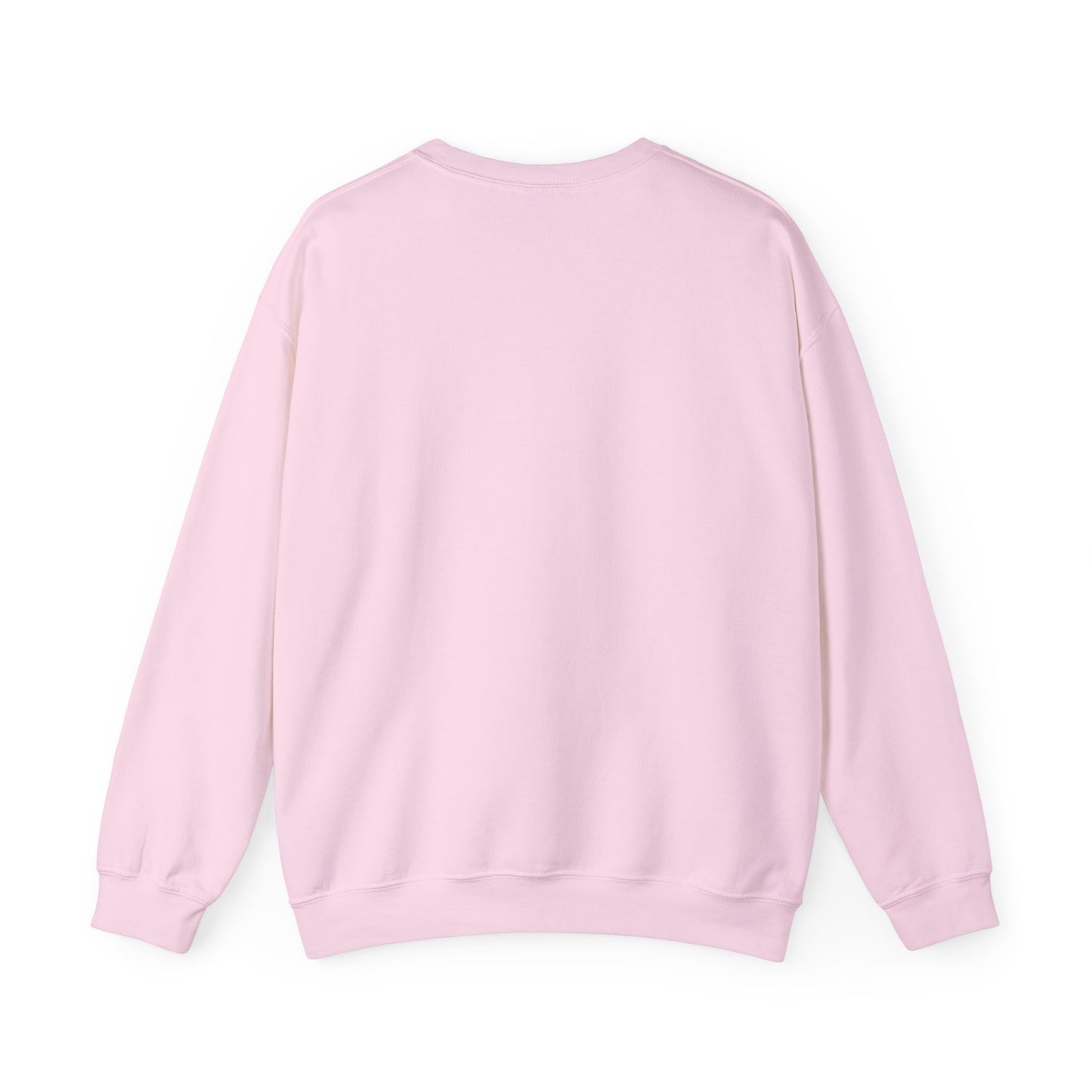 Special Education Sweatshirt β Teacher, Paraprofessional & Special Ed Support Gift, Cozy Wear, Unisex